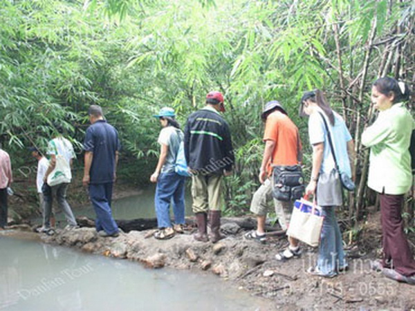 Let's Save The Nature